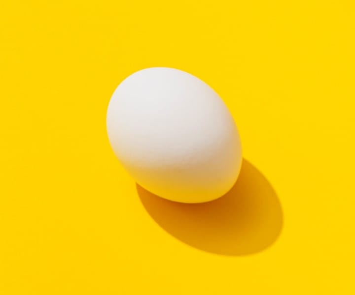 egg-in-yellowbg